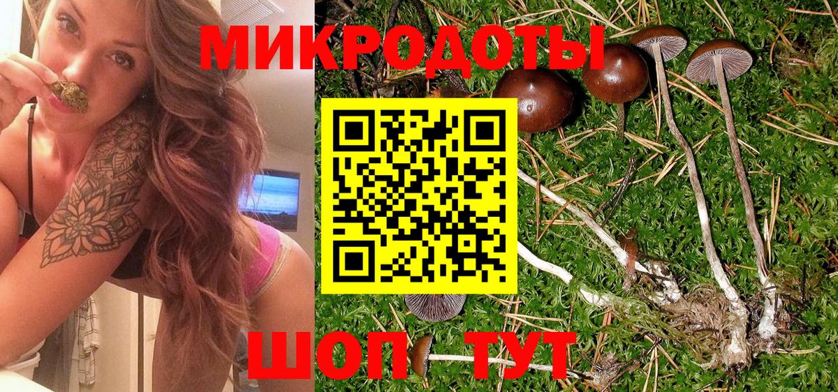 Узловая  Псилоцибиновые грибы Psilocybine cubensis  Вход с VPN 